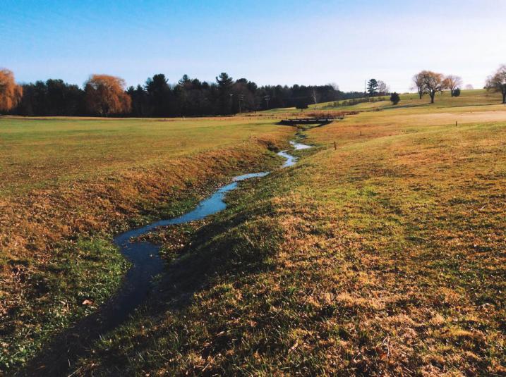 Brook flowing lightly