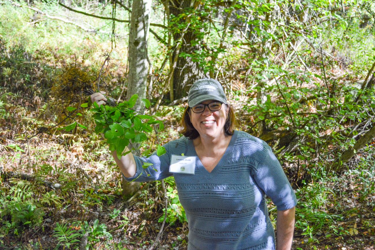 Volunteers pull invasive plants during the NH Invasives Academy