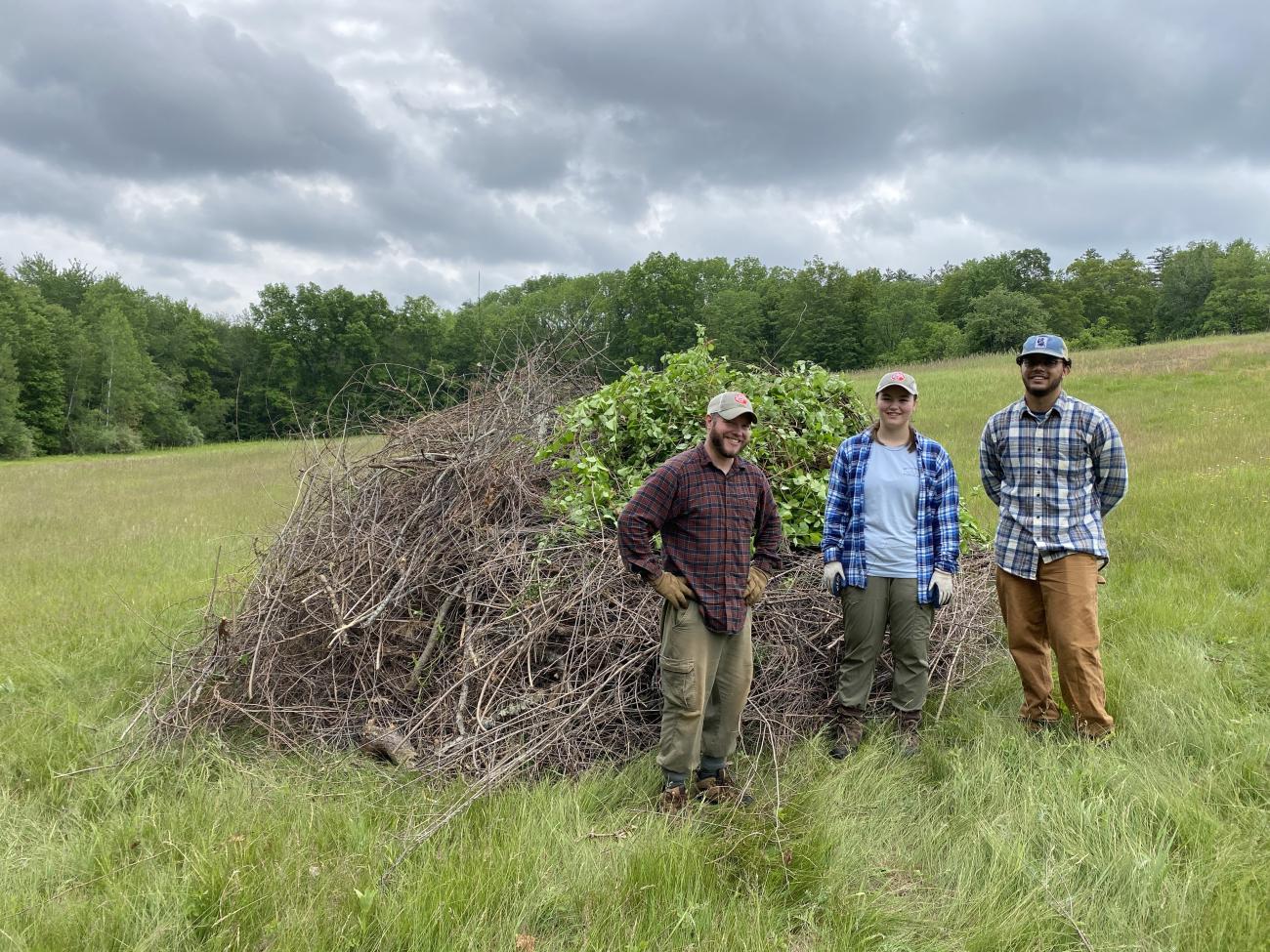 people standing next to a pile of pulled invasive plants