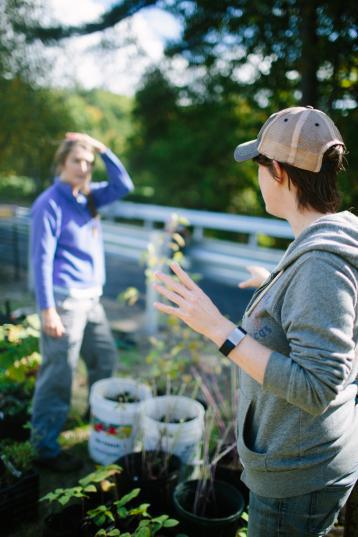 volunteers sorting plants