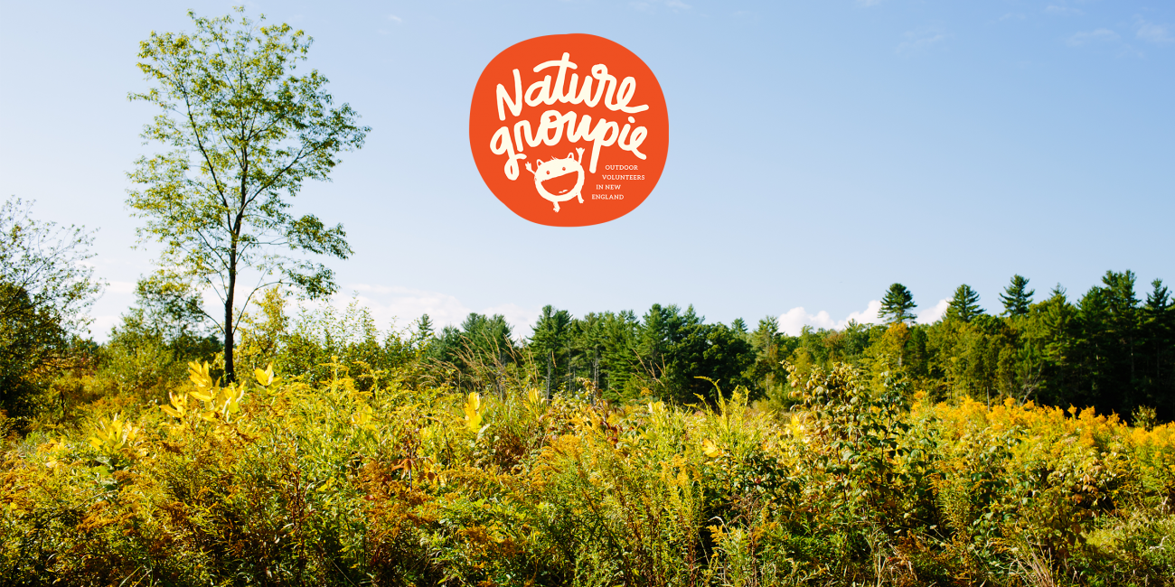 Field with Nature Groupie logo