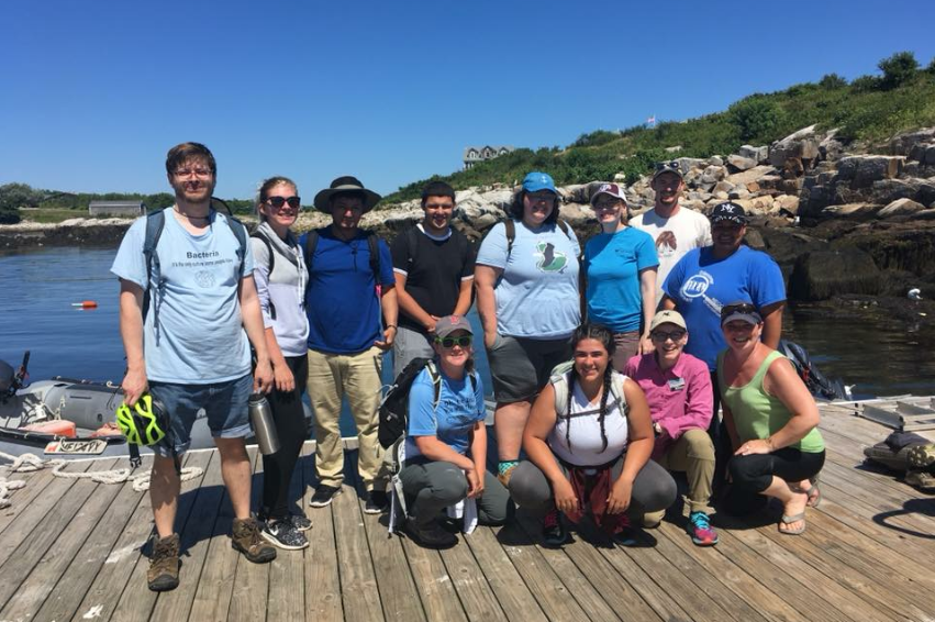 Gull Banding Team