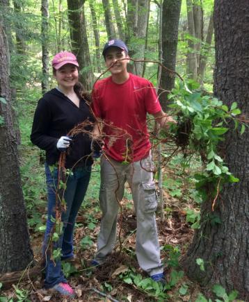 volunteers holding invasives