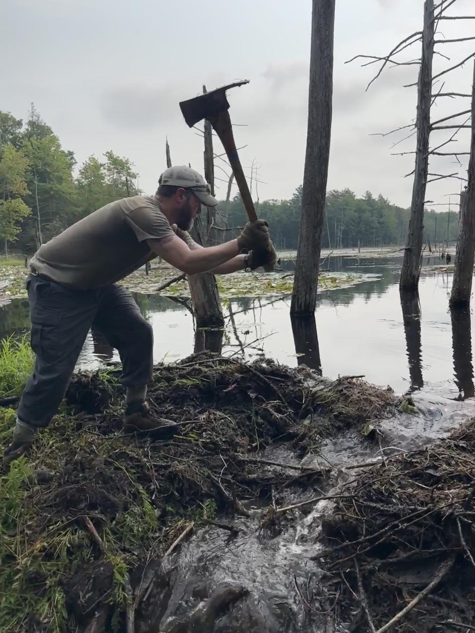 intern using tool to remove beaver dam