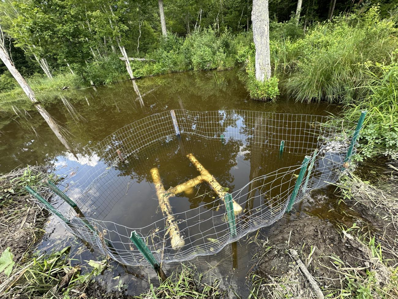 fence in water