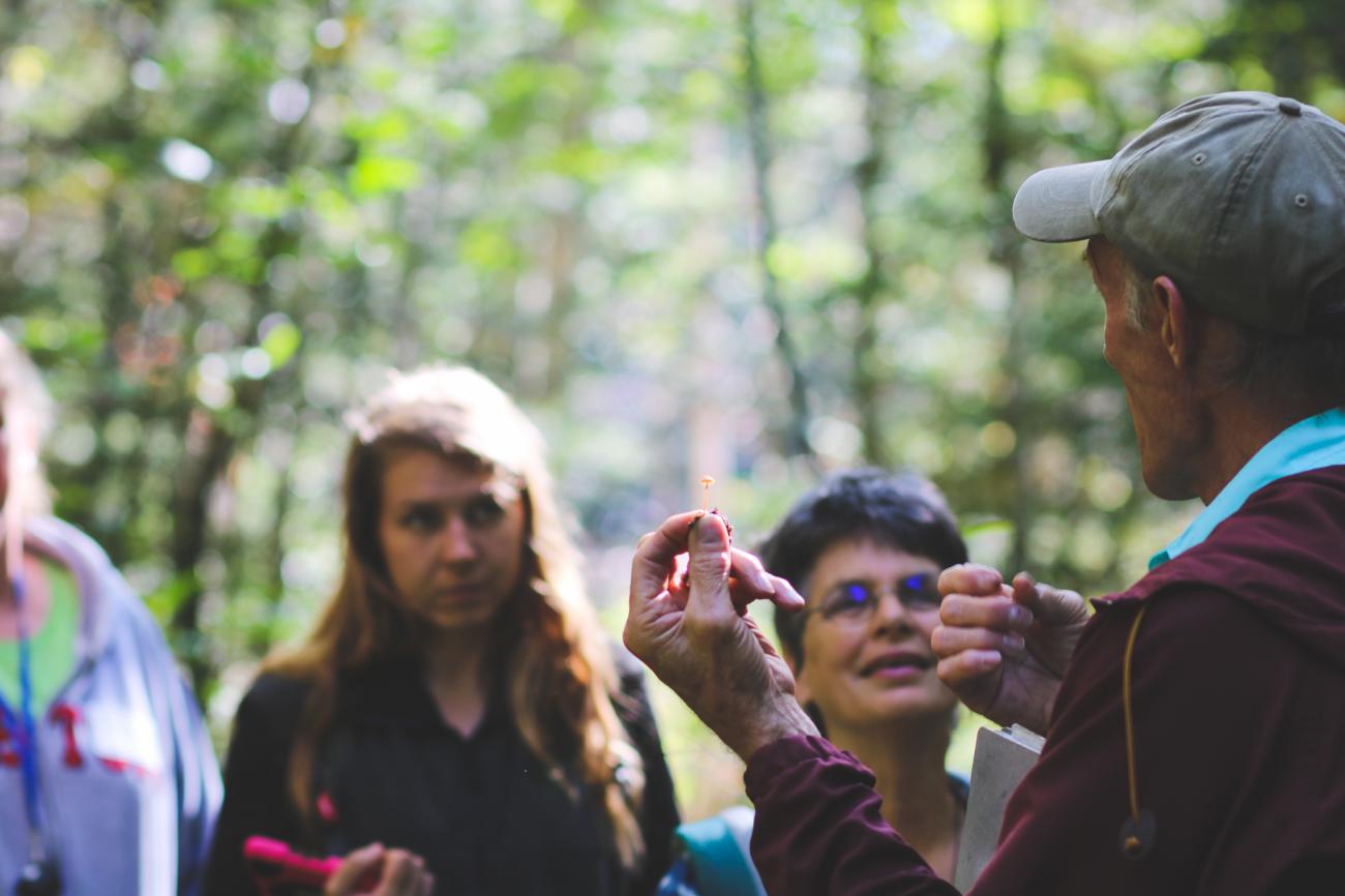 Volunteers learning how to ID mushrooms