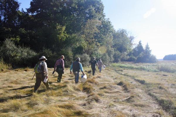 volunteers walking in a field