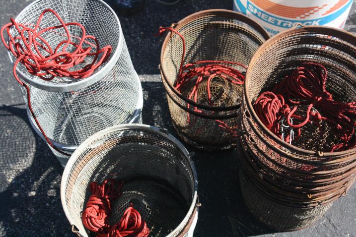 Minnow traps