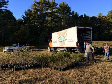 Truck unloading plants