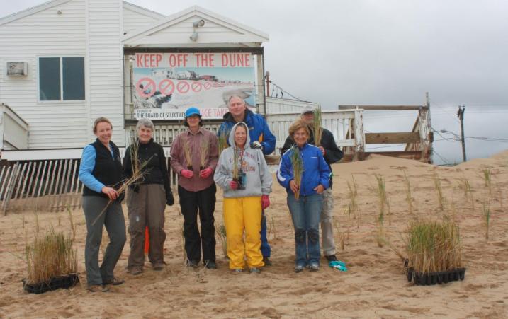 Beachgrass volunteer planting crew on Plum Island.