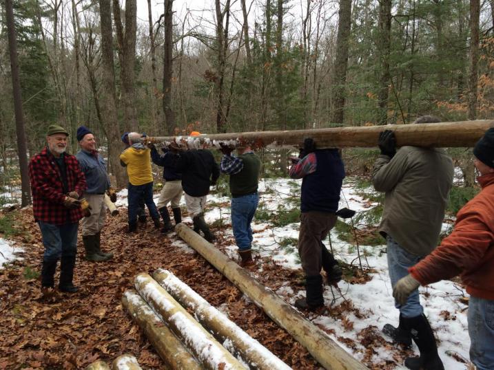 volunteers carry pine pole