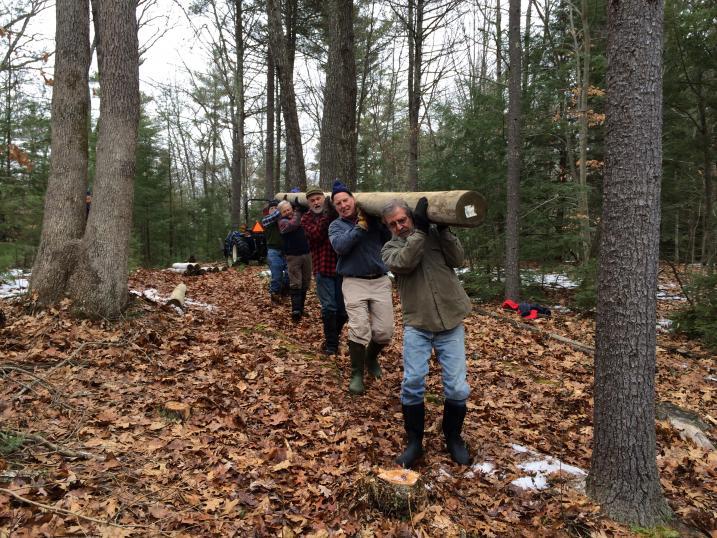 volunteers carry 20ft long pine pole