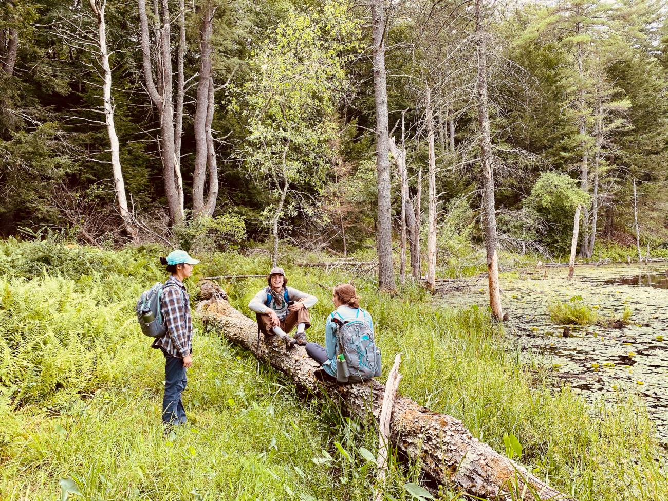 Summer Interns Relaxing in the Field