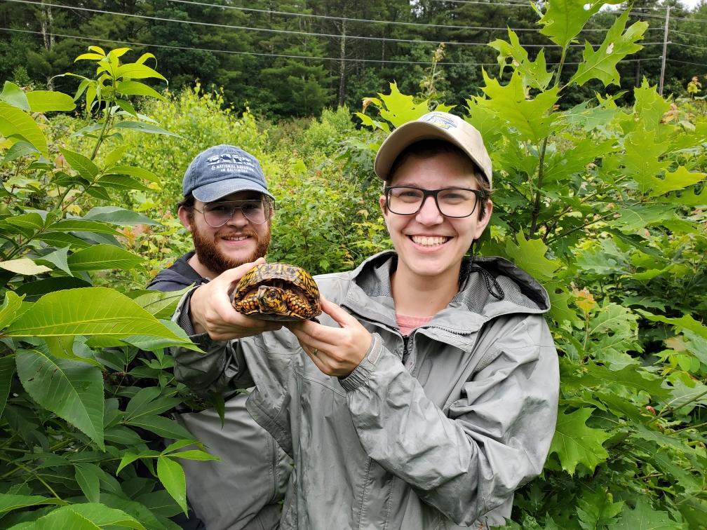 Nature Groupie Interns find a turtle