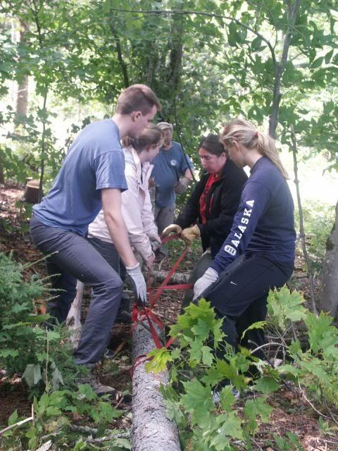 volunteers lifting log