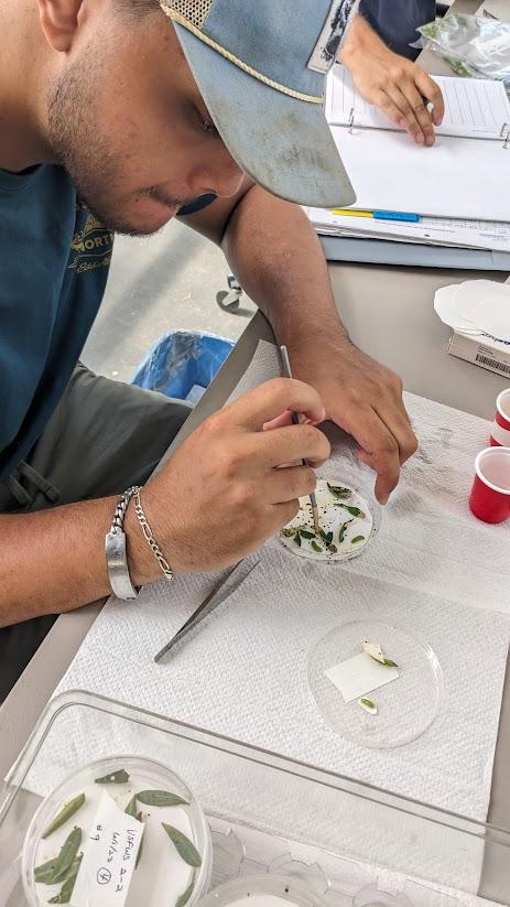 person in lab