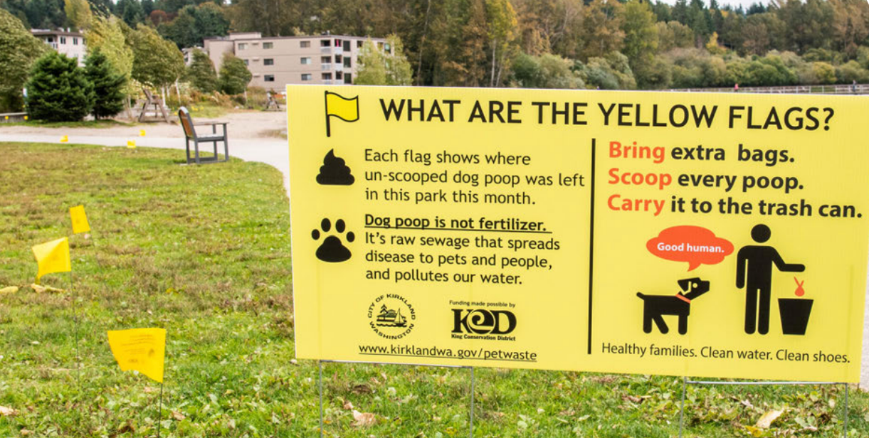 Kirkland WA Dog Waste Campaign with Flags