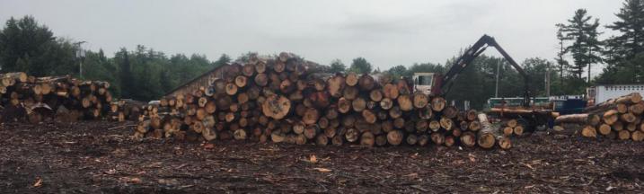 Log yard