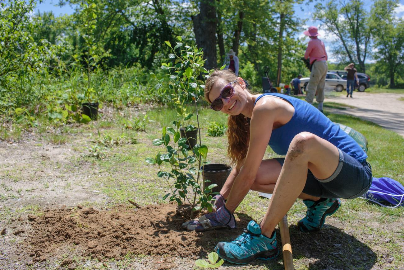 Volunteers Planting Shrubs