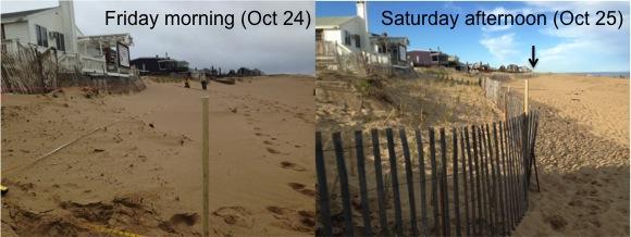 Before and After: two days of beachgrass planting