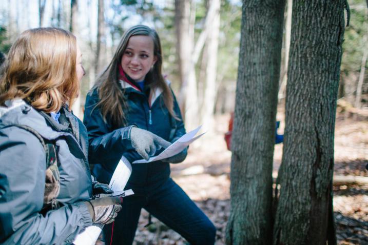 volunteers in the woods
