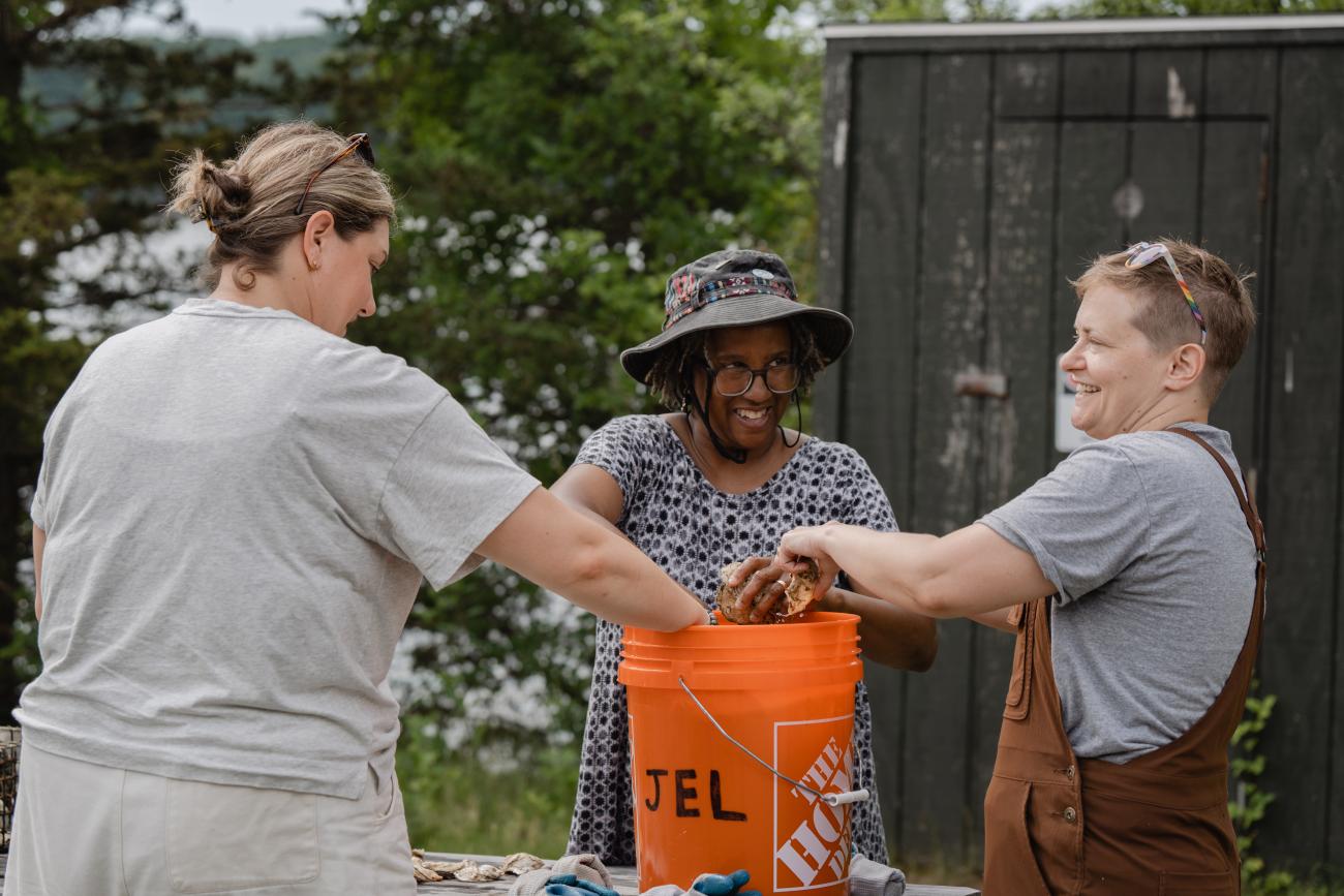 counting baby oysters