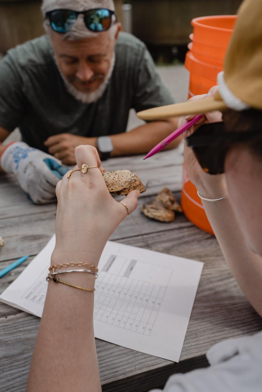 counting baby oysters