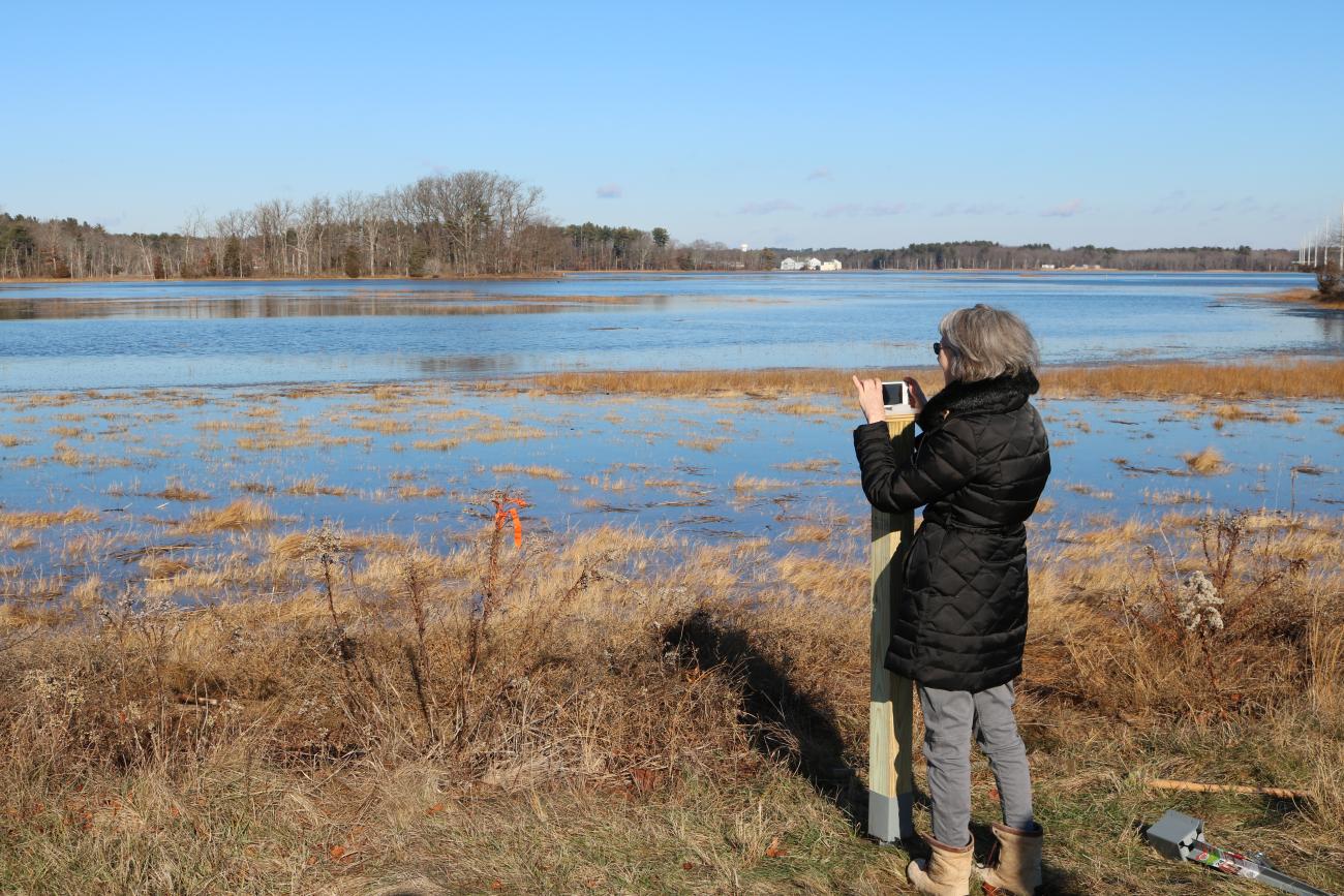 A woman taking a picture with her phone on a Picture Post in a marsh