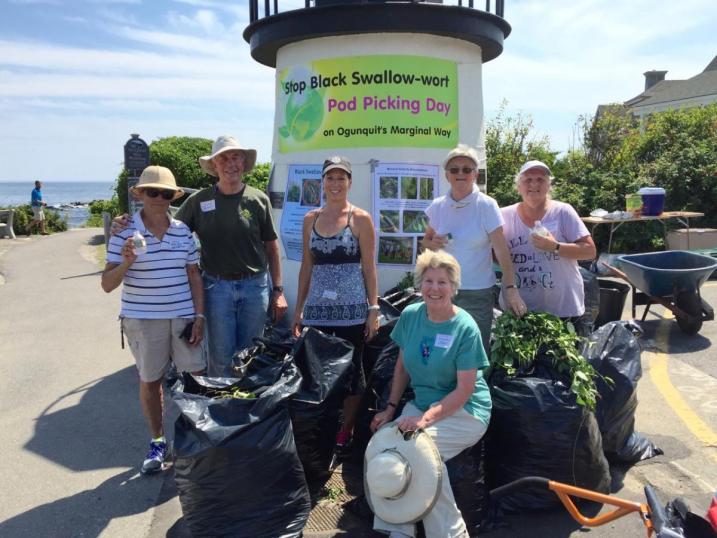 volunteers with bags of invasives