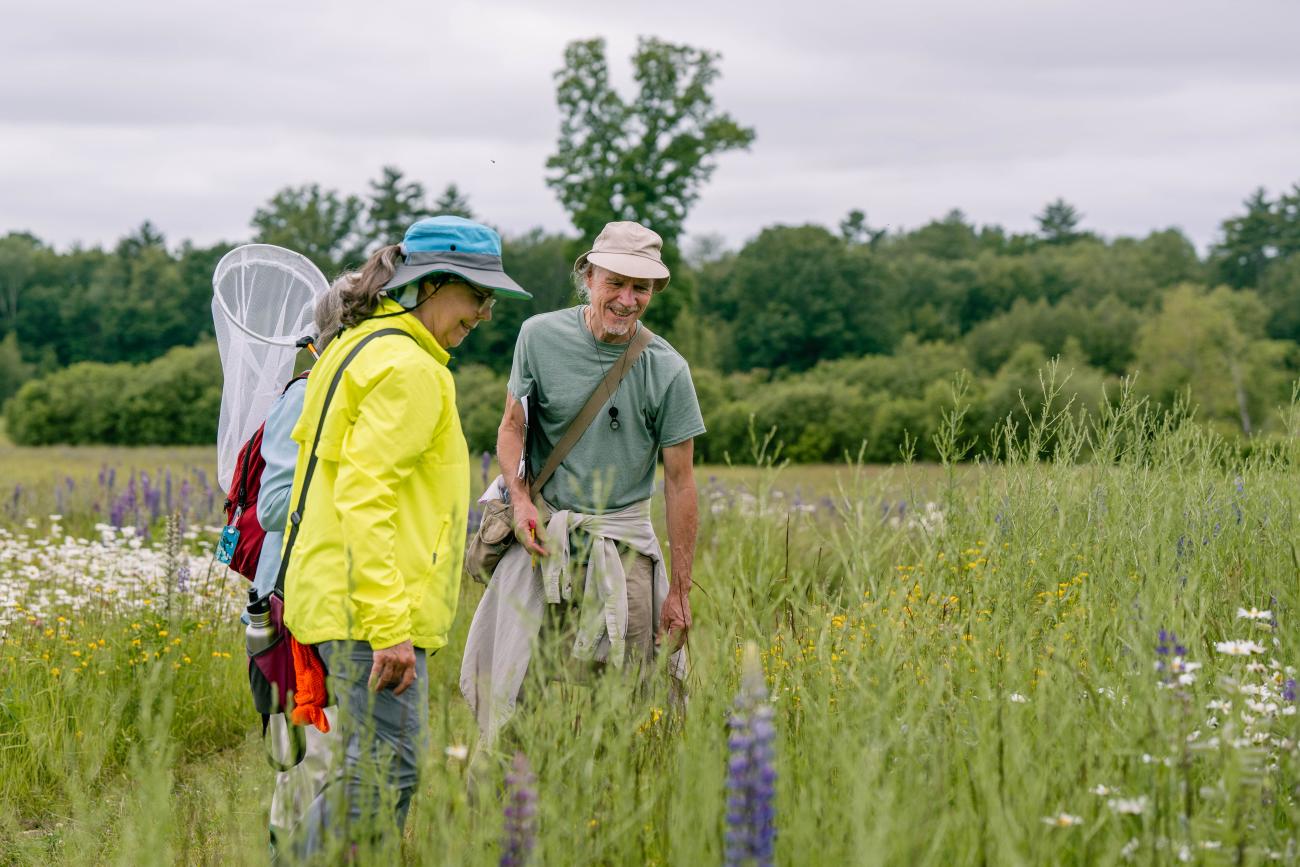 Pollinator training 2025