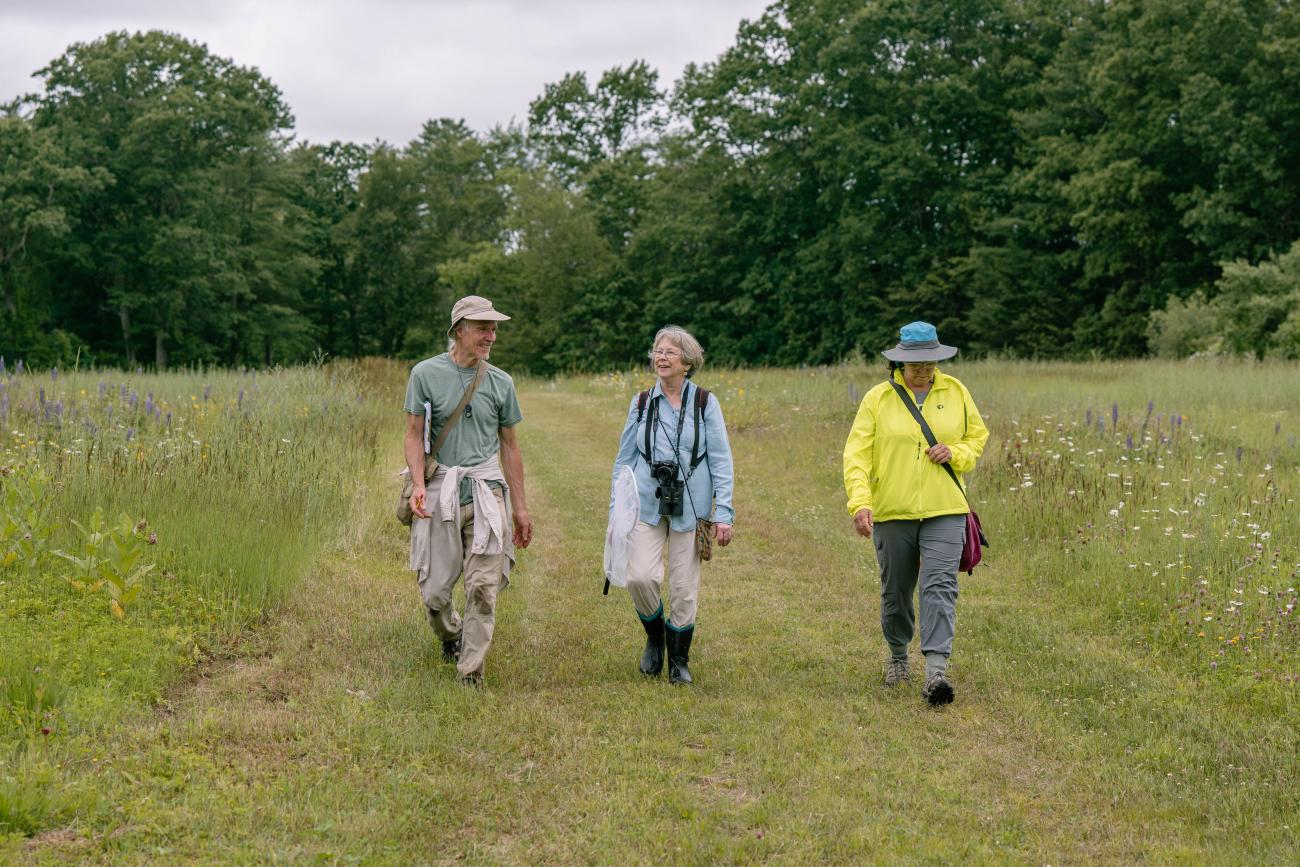 Volunteers in the field