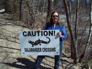 volunteers holding salamander crossing sign