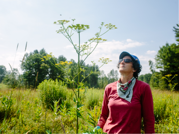 Ellen Snyder and wild parsnip