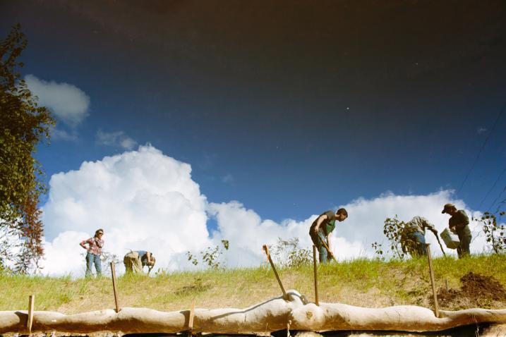 Stream restoration volunteers