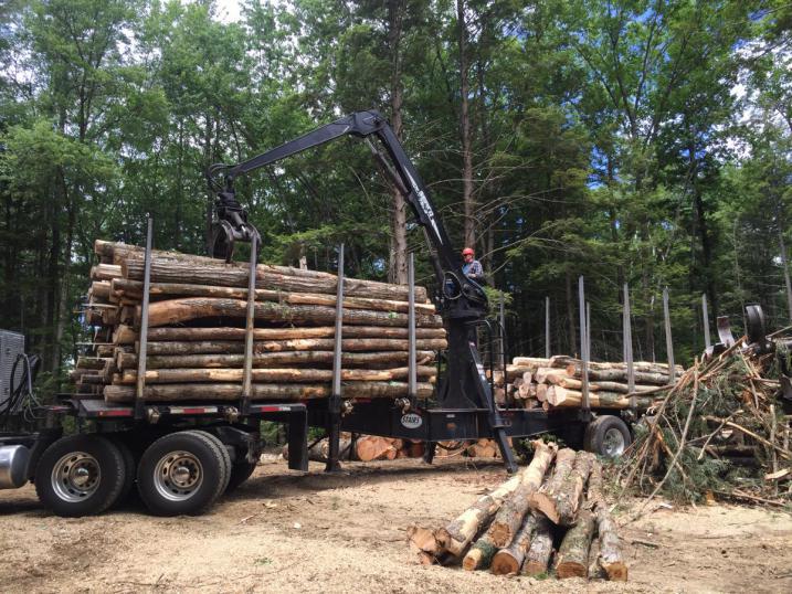 Timber harvest truck with SELT