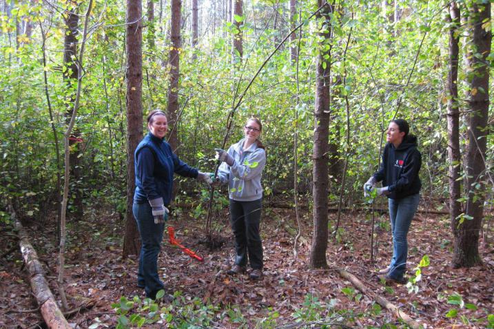 Buckthorn Blitz 3 students