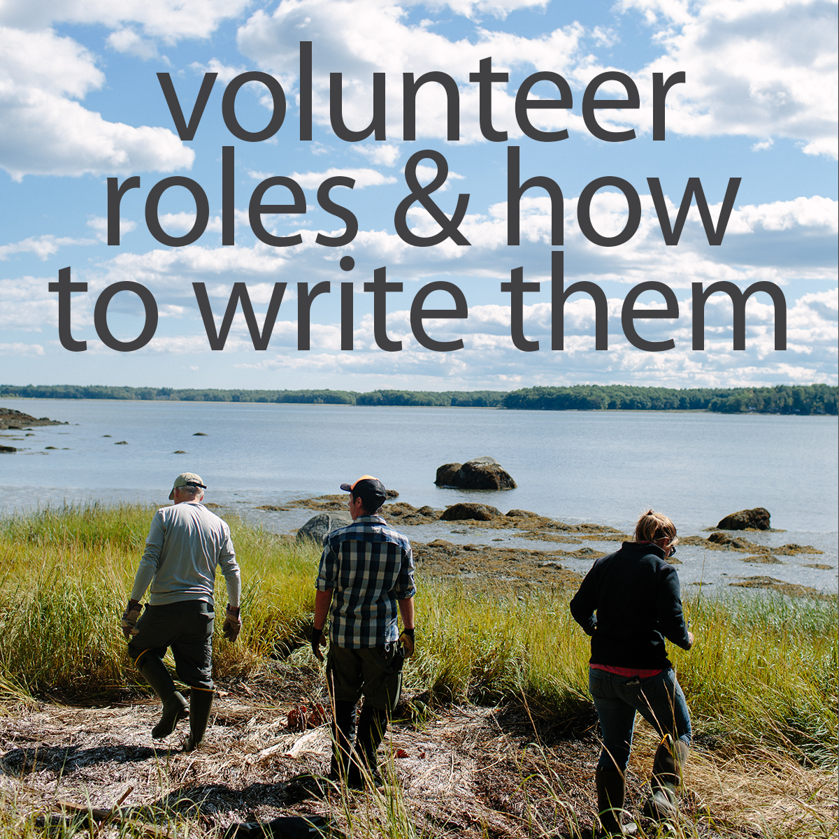 icon with volunteers - volunteer roles and how to write them 
