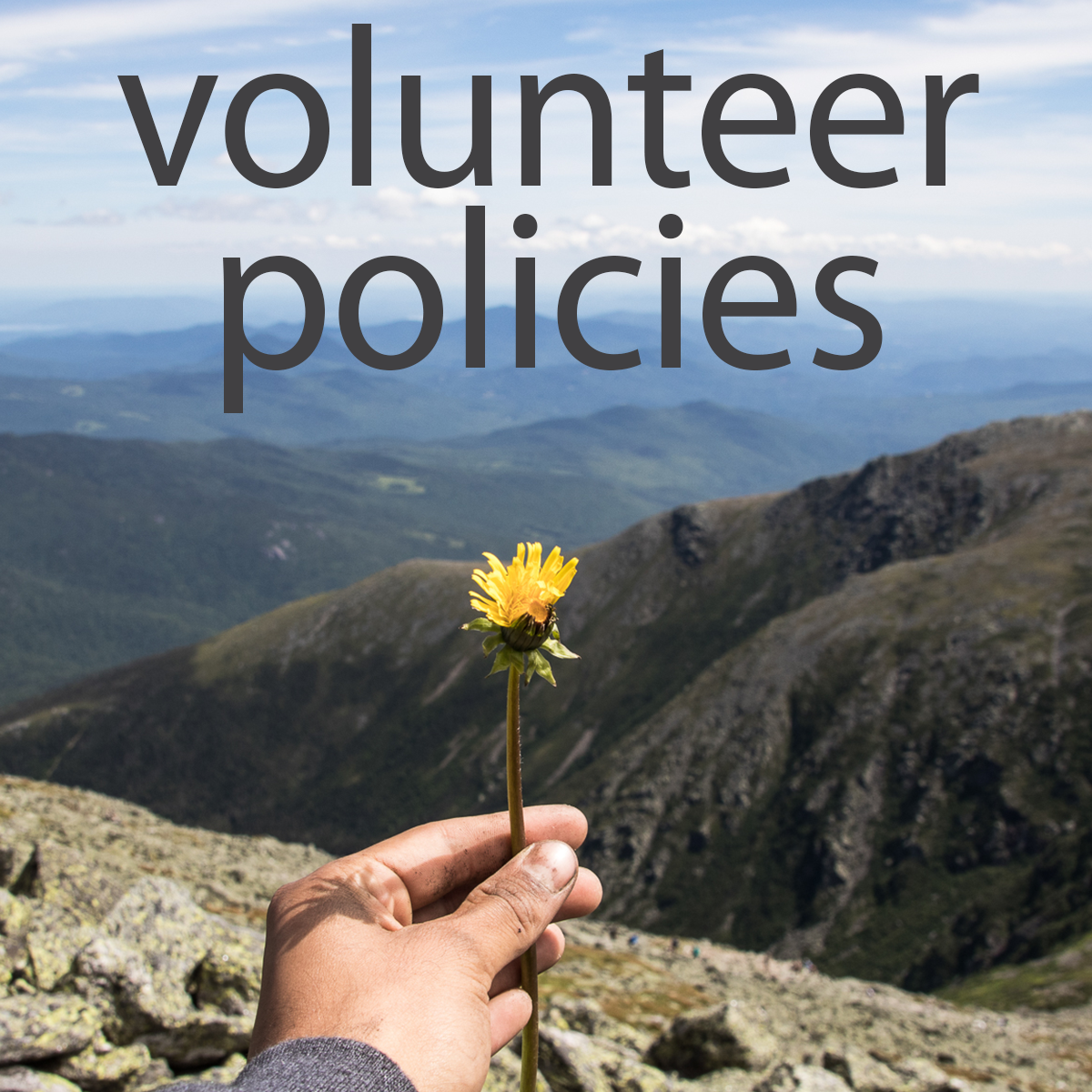 volunteer policies icon