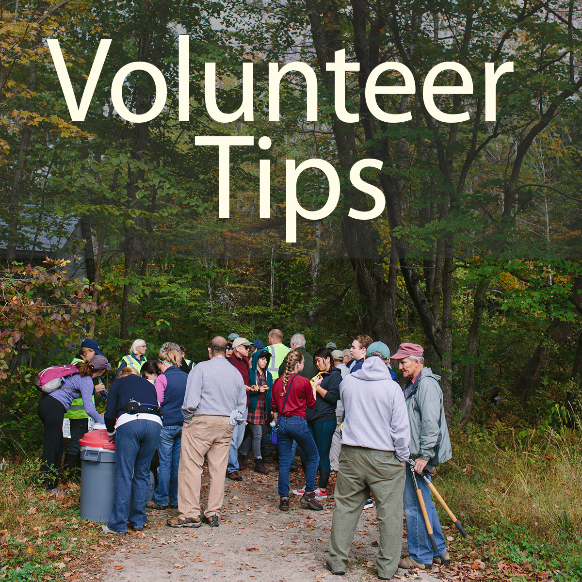 Volunteer Tips Icon 2