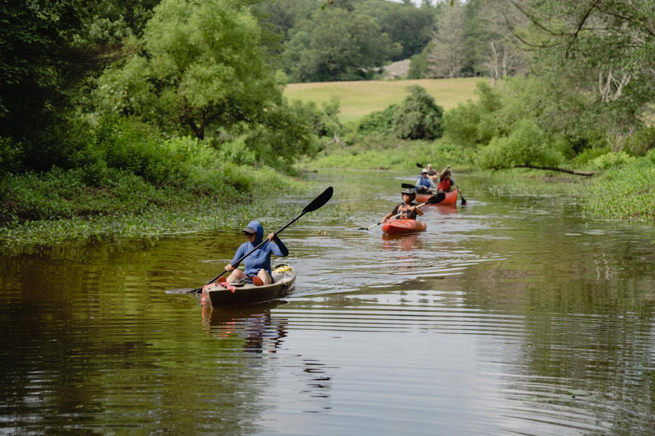 pulling water chestnut