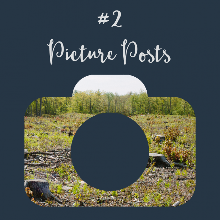 #2 Picture Posts