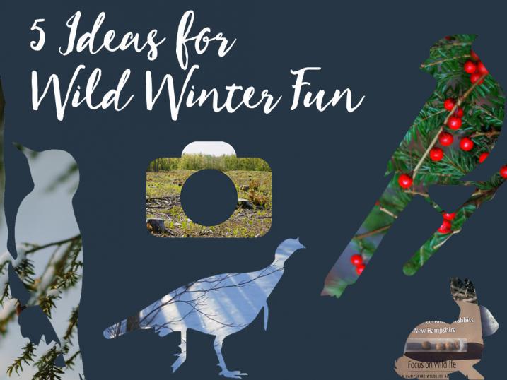 Icon for 5 Ideas for Winter Family Fun