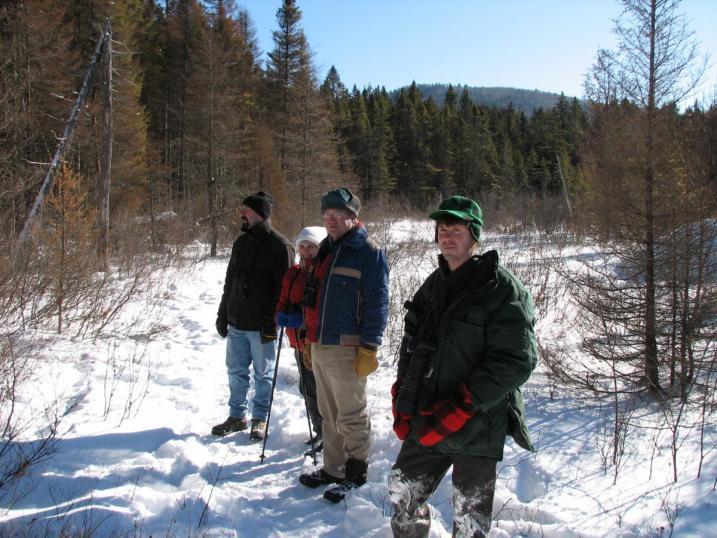 birders out looking for woodpeckers in winter