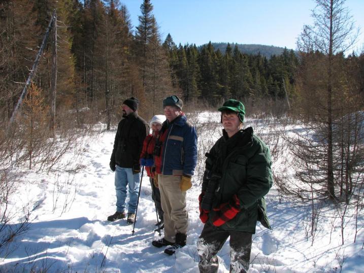 birders out looking for woodpeckers in winter 