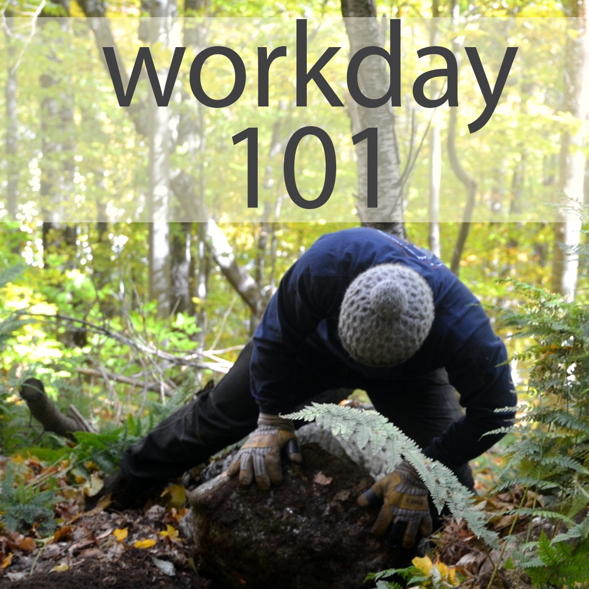 workday 101 icon