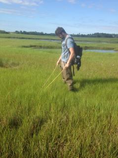 Tomás in the field