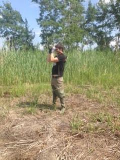 tomas maps invasive plants