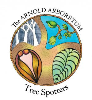 Arnold Arboretum Tree Spotters Logo