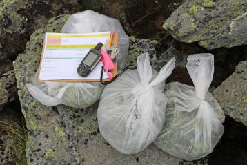 Recording and marking locations where dandelions were removed