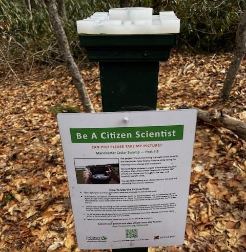 Picture Post from Manchester Cedar Swamp 2024